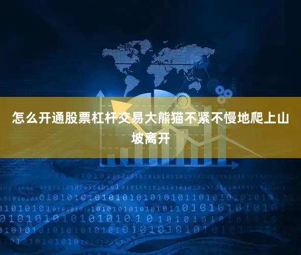 怎么开通股票杠杆交易大熊猫不紧不慢地爬上山坡离开
