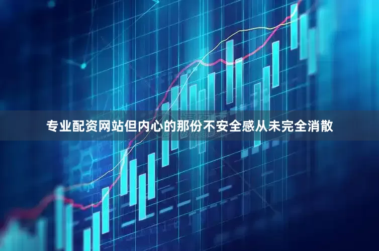 专业配资网站但内心的那份不安全感从未完全消散