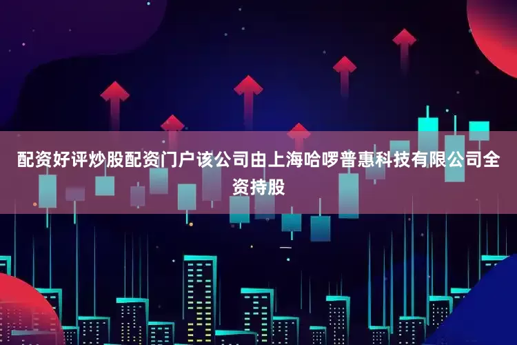 配资好评炒股配资门户该公司由上海哈啰普惠科技有限公司全资持股