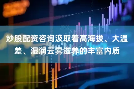 炒股配资咨询汲取着高海拔、大温差、湿润云雾滋养的丰富内质